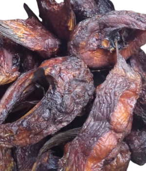 website template image