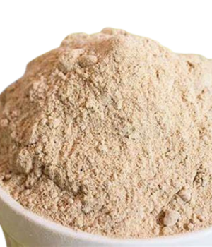 website template image