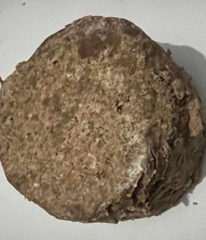 website template image